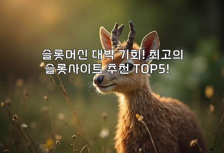 슬롯머신 대박 기회! 최고의 슬롯사이트 추천 TOP5!